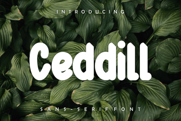 Ceddill: A Bold Display Font for Classy Branding Projects