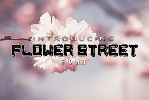 Flower Street: A Stylish Display Font for Digital Creativity