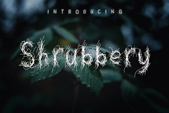 Shrubbery: The Display Font That Elevates Campaign Design